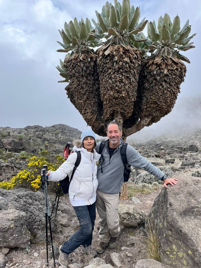 mnassoro9's tweet photo. Let's start our new year 2023 With a new experience. Climb Mt Kilimanjaro With us KILIMANJARO ELITE TOURs company.

#7Summit
#Climbers
#MtKilimanjaro
#climbergirl
#SaudiArabia
#USAfricaLeadersSummit22
#coloradotourism https://t.co/vp7Hm1ApcC