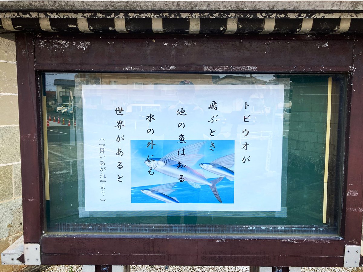 gotomarche's tweet photo. 五島列島福江島の某お寺
「舞いあがれ！」の影響大（笑）

#寺 
#舞いあがれ 
#たかしくん
#赤楚衛二
#短歌
#トビウオ https://t.co/FeGFVft0iZ