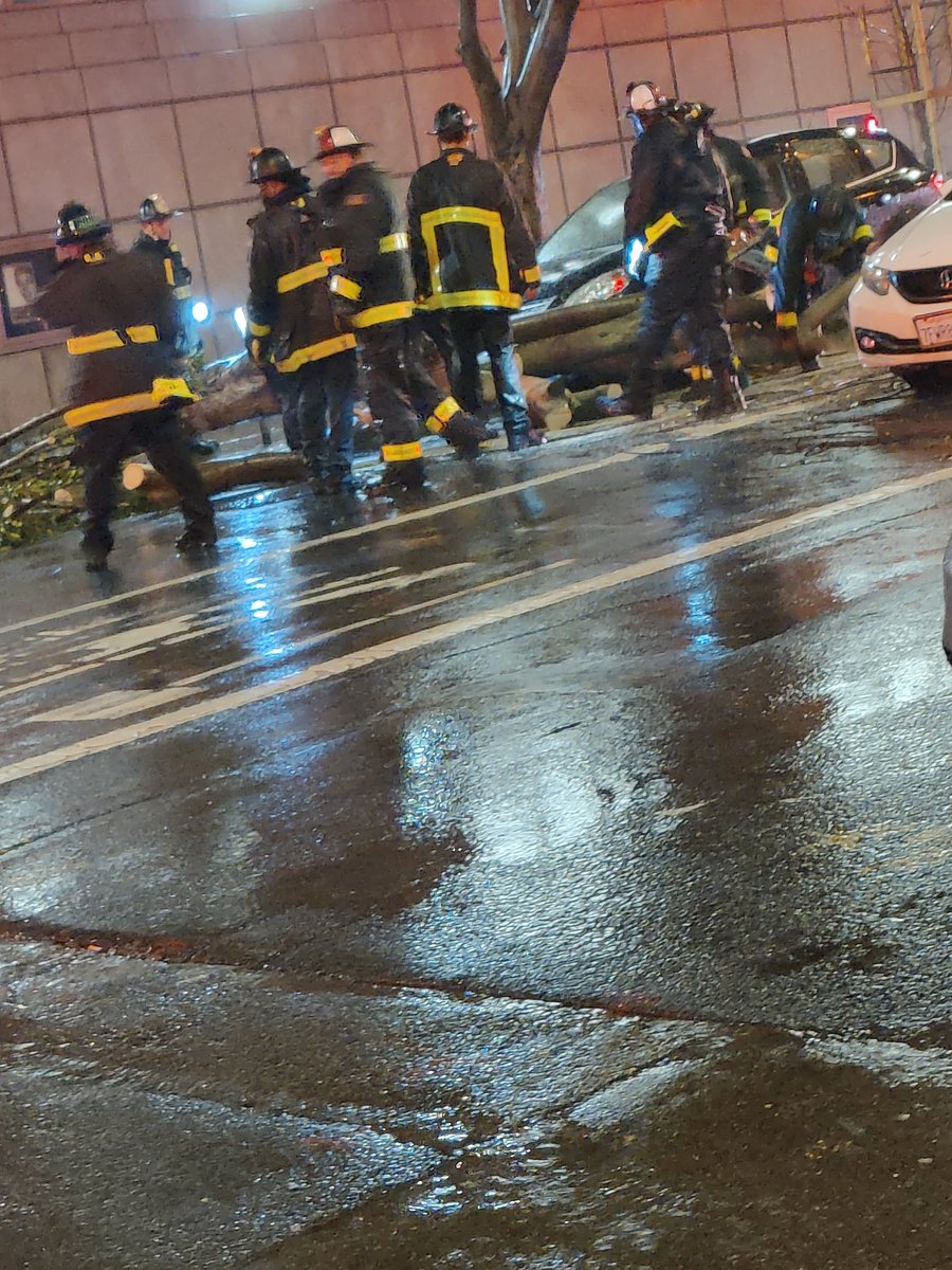 SFSC415's tweet image. Tree Down, Grove at Market 🪚🪚👨🏽‍🚒👨🏽‍🚒☔☔🙏🏽