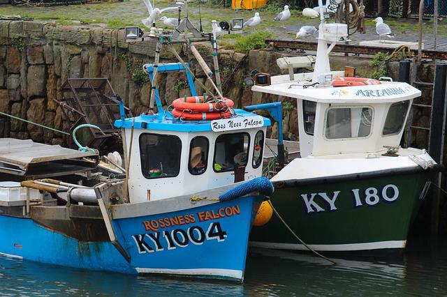 Photo By NatWhitePhotography | Pixabay 
 #boats #scotland #harbour #england #ukblues #britain #unitedkingdom #scotland