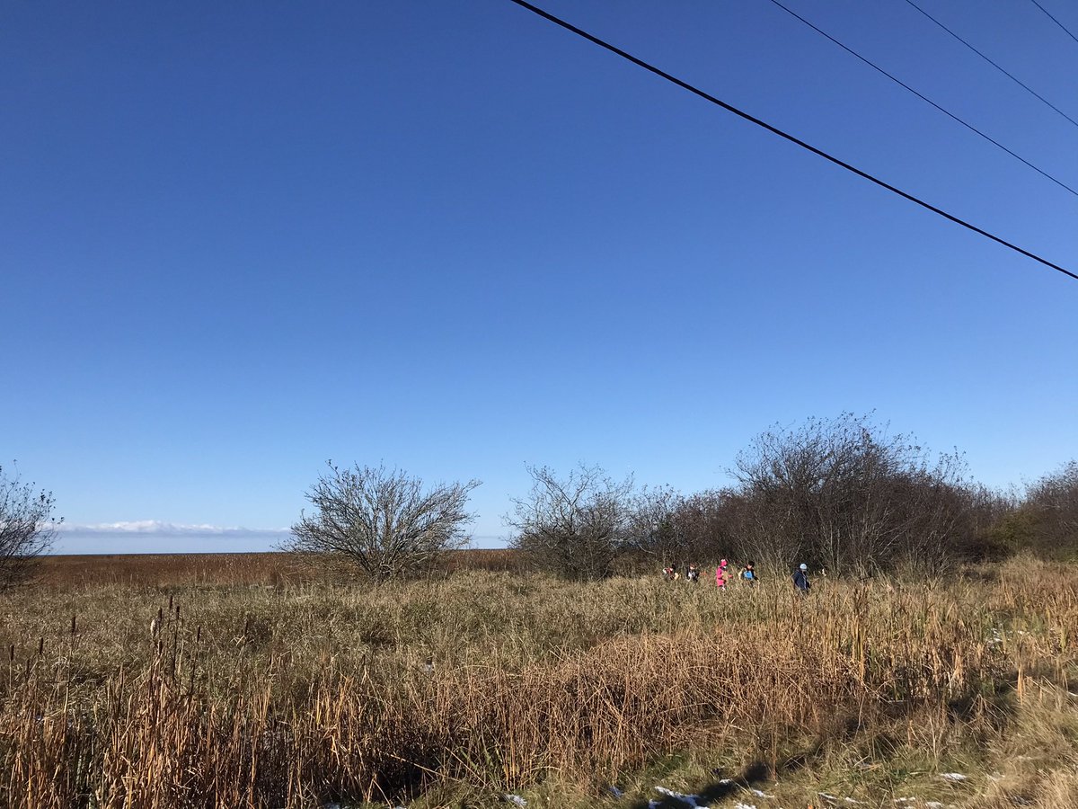 How can we be safe and ethical in our investigation of the estuary (a protected land)? Great discussions with my colleagues and students. <a href="/stevescyclones/">Manoah Steves School</a>