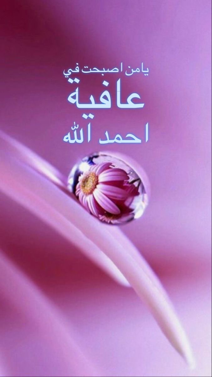 "نحن  من  طين  ..يوجعنا  الأذى 

يجرحنا  صغير  الشوك  ..

 يجبرنا  لطف  الله ..🌹

#صباح_الخيرᅠ