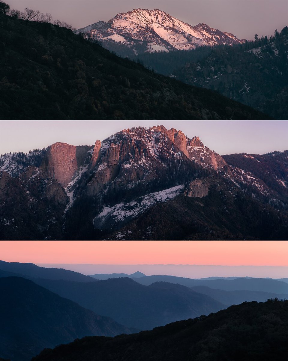 Nick Amp tweet media