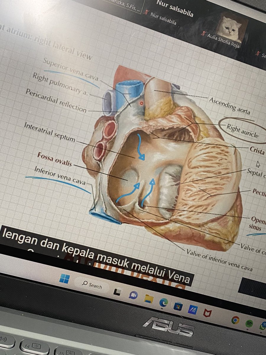sinareuworld's tweet image. mari kumpulkan niat mandi-jemur-stlh itu lanjut belajar🥺