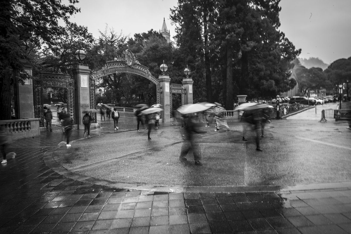 CalAdmissions's tweet photo. Snapshots of the storm ⛈️ 

Berkeley and the Bay Area are preparing for another atmospheric river! Strawberry Creek, which runs through campus, is already running at a very high level. 

📸: Keegan Houser

#berkeleyPOV #ucberkeley #berkeleyweather #bayareaweather #stormsnaps https://t.co/I5qew4s3DQ
