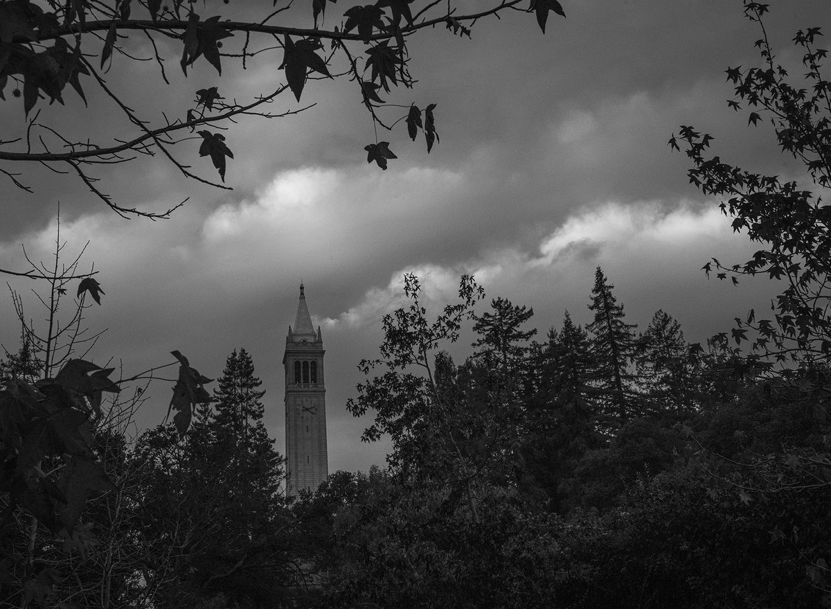 CalAdmissions's tweet photo. Snapshots of the storm ⛈️ 

Berkeley and the Bay Area are preparing for another atmospheric river! Strawberry Creek, which runs through campus, is already running at a very high level. 

📸: Keegan Houser

#berkeleyPOV #ucberkeley #berkeleyweather #bayareaweather #stormsnaps https://t.co/I5qew4s3DQ