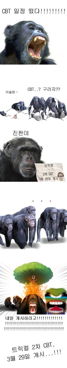 Trickcal_Re's tweet photo. <트릭컬 리바이브 공식 계정 팔로우&amp;RT 이벤트>
침팬지툰의 원작자가 전해드리는 트릭컬 2차 CBT 소식!
자고로 RT를 하지 않는 것은...

※해당 트윗을 RT 해주셔야 이벤트에 참여됩니다!
#트릭컬 #릭트컬 #침팬지 #자고로신앙을 #RT이벤트 https://t.co/i7XMgxchQr