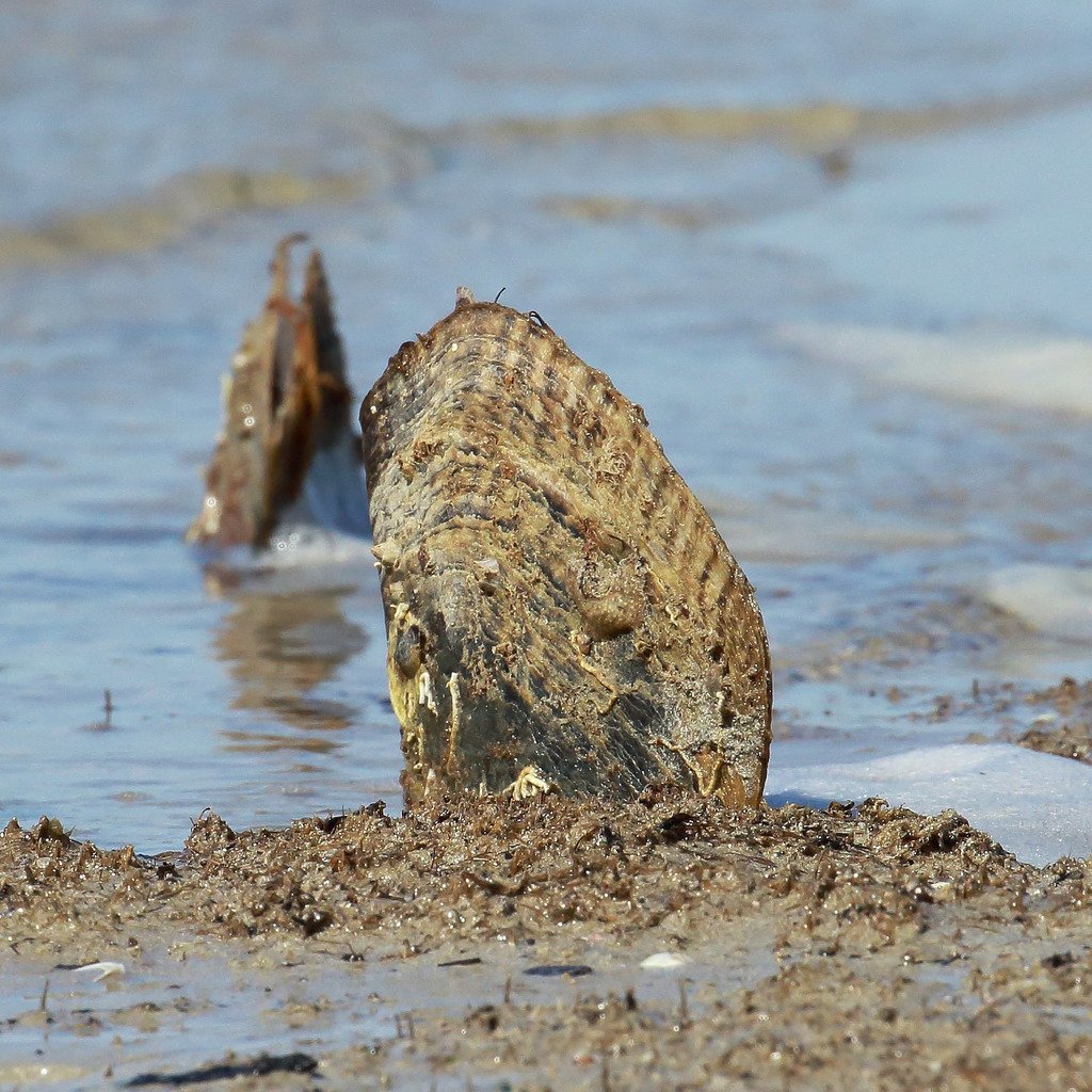 Brad Martin tweet media