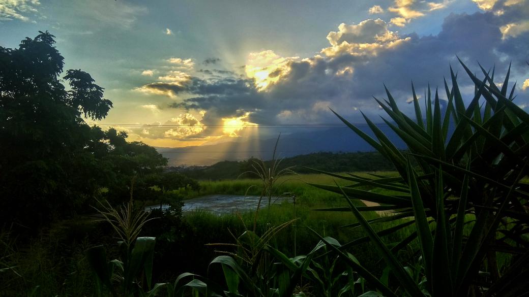 samashless's tweet photo. I heard someone say that INFP's take one of the most beautiful sunset/landscape pictures. I don't know if that's true, but I would love to see your photos here ⬇️💙

#MBTI #INFP #landscape https://t.co/hM5o9rPYpO