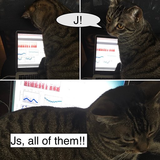 Chelsea Huang tweet media