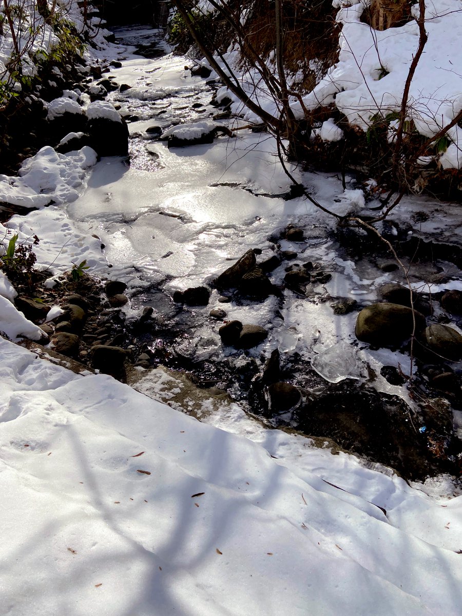 「小川と滝が凍っていました。綺麗 」|もえのイラスト