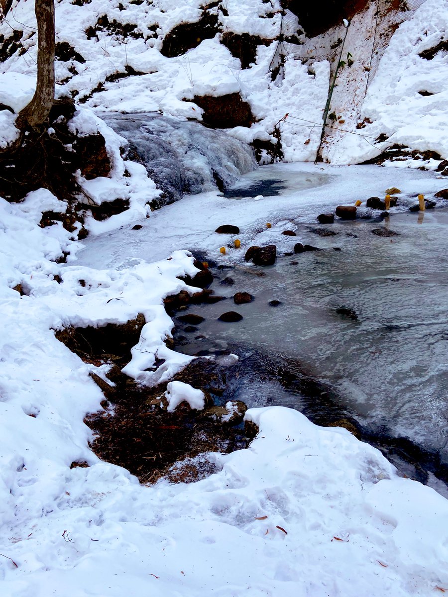「小川と滝が凍っていました。綺麗 」|もえのイラスト