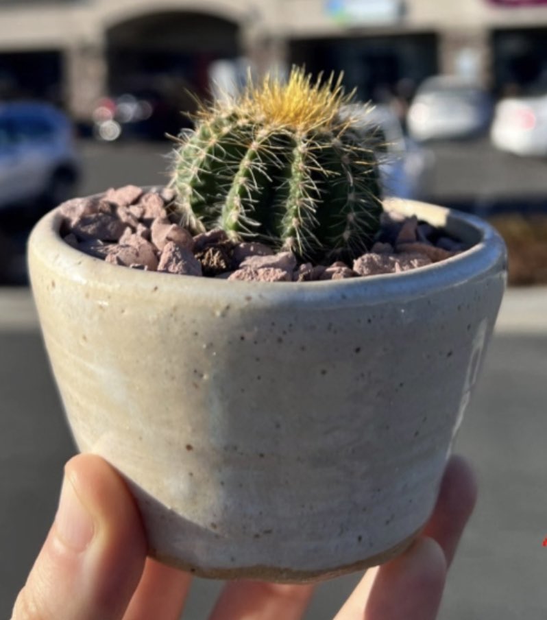 Mizz_Keisha_'s tweet photo. I’ve been learning how to throw pottery and all my little shitty creations bring me so much joy https://t.co/Hww1I428U2