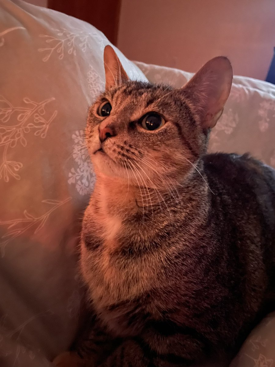 charley 💫 tweet media