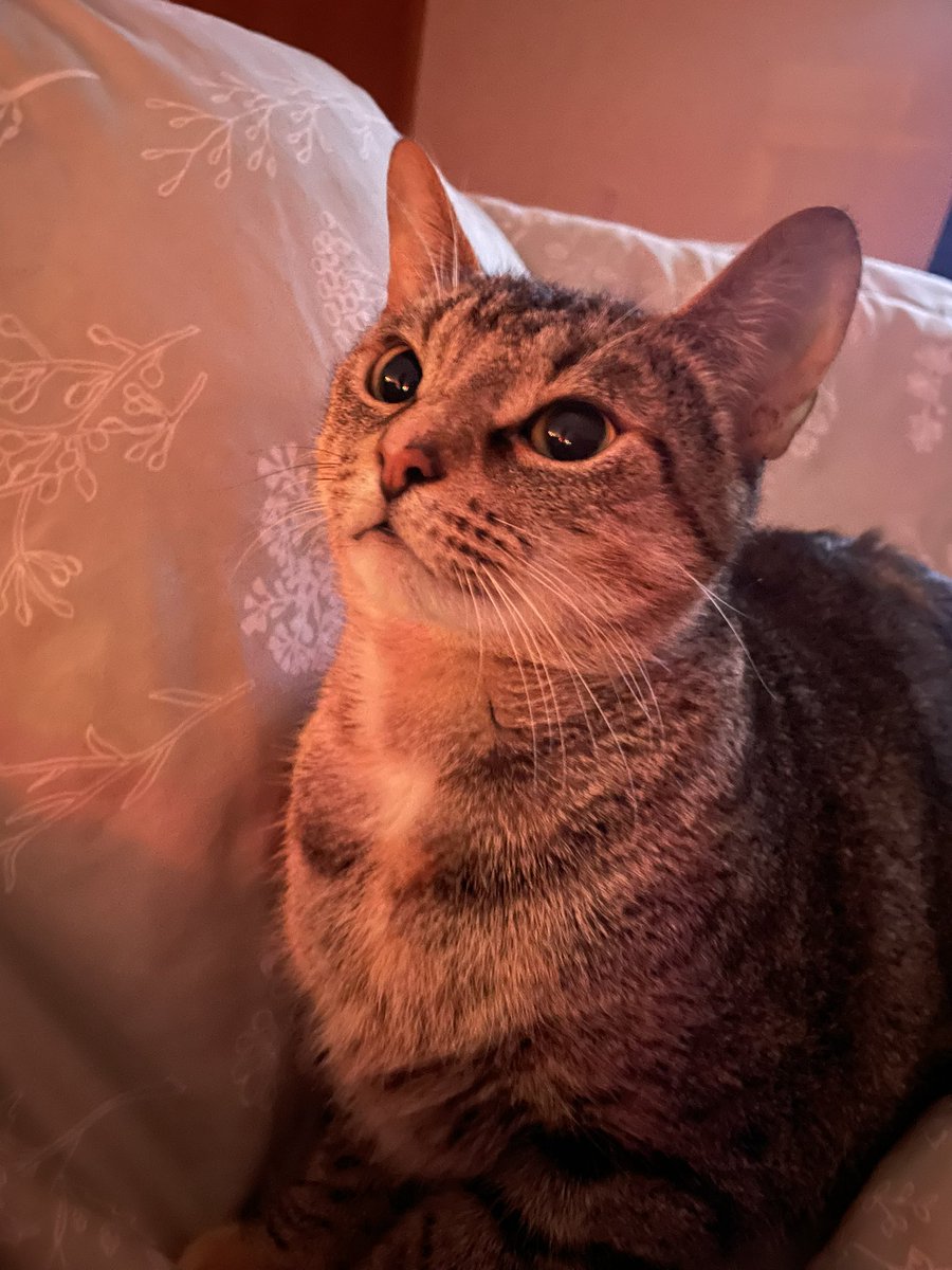 charley 💫 tweet media
