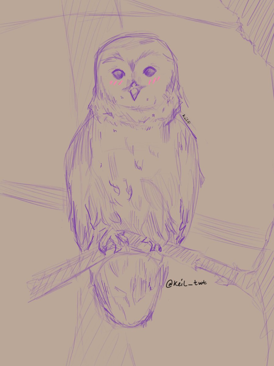 Barred owl 🦉💚
 #ArtistOnTwitter #barredowl #digitalart