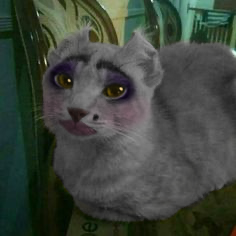 imunknownforyou's tweet photo. I wasted all of my editing skills onto a photo of a cat wearing makeup and turn it into the judge
#offgame #offjudge #offrpg #thejudge #thejudgeoff # https://t.co/tOs9xiNmNw