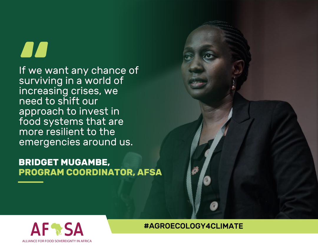 AFSA (@afsafrica) on Twitter photo 𝟱 𝗱𝗲𝗺𝗮𝗻𝗱𝘀 𝗳𝗼𝗿 𝗺𝗼𝗿𝗲 𝗰𝗹𝗶𝗺𝗮𝘁𝗲-𝗿𝗲𝘀𝗶𝗹𝗶𝗲𝗻𝘁 𝗳𝗼𝗼𝗱 𝘀𝘆𝘀𝘁𝗲𝗺𝘀 𝗶𝗻 𝟮𝟬𝟮𝟯
<a href="/bmngabirano1/">Bridget Mugambe</a> of AFSA outlines five actions the coalition is calling for to return power of Africa food systems to African smallholders
bit.ly/3WZi1Q2 𝟱 𝗱𝗲𝗺𝗮𝗻𝗱𝘀 𝗳𝗼𝗿 𝗺𝗼𝗿𝗲 𝗰𝗹𝗶𝗺𝗮𝘁𝗲-𝗿𝗲𝘀𝗶𝗹𝗶𝗲𝗻𝘁 𝗳𝗼𝗼𝗱 𝘀𝘆𝘀𝘁𝗲𝗺𝘀 𝗶𝗻 𝟮𝟬𝟮𝟯
<a href="/bmngabirano1/">Bridget Mugambe</a> of AFSA outlines five actions the coalition is calling for to return power of Africa food systems to African smallholders
bit.ly/3WZi1Q2