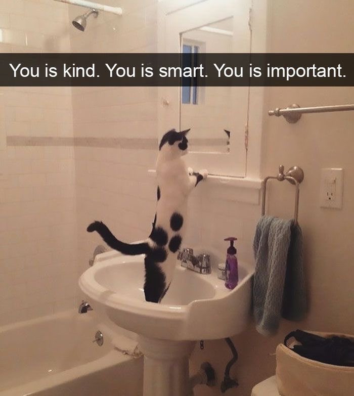returnoffluffy's tweet image. 