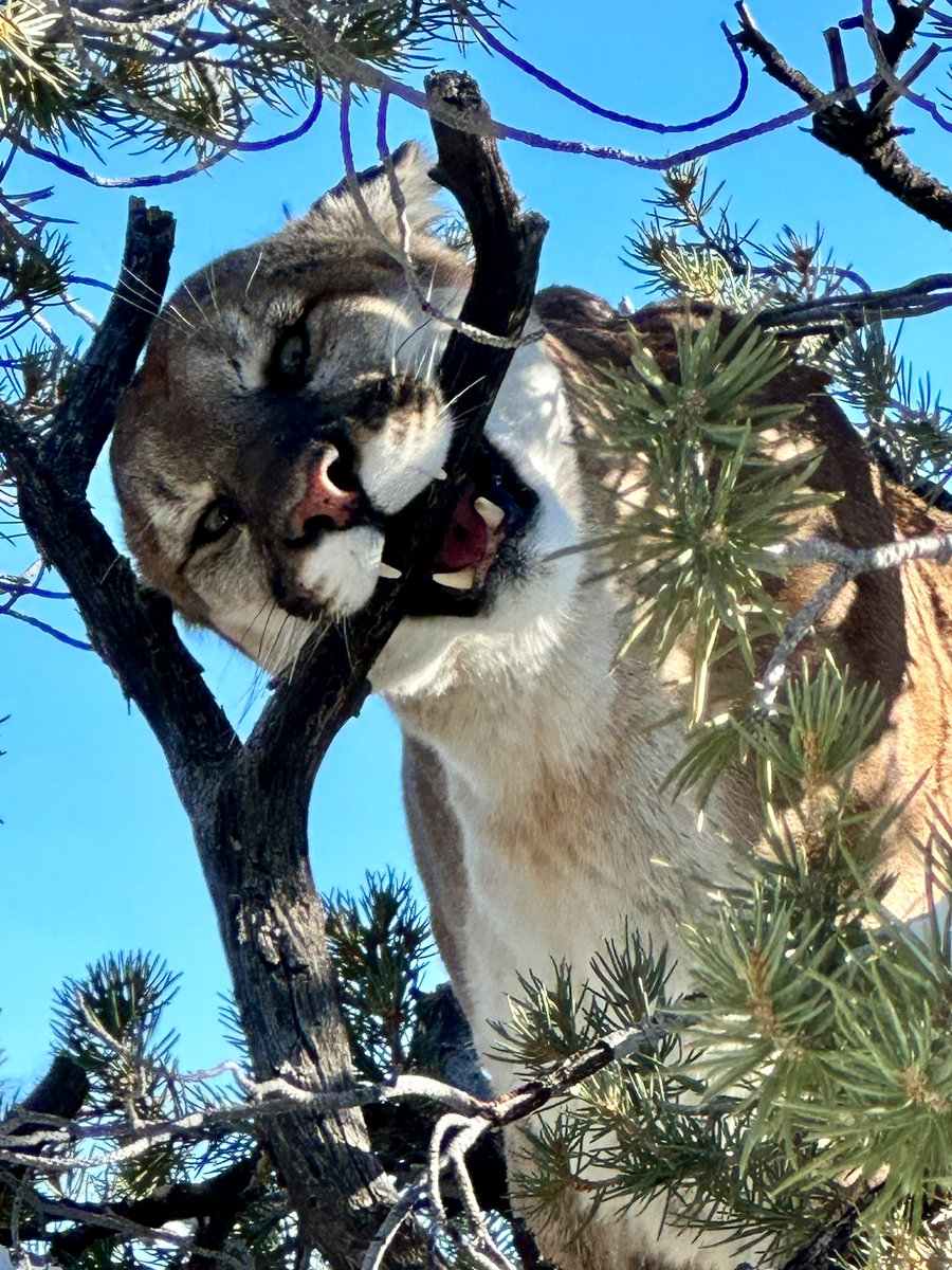 Perfecting the passion🔥