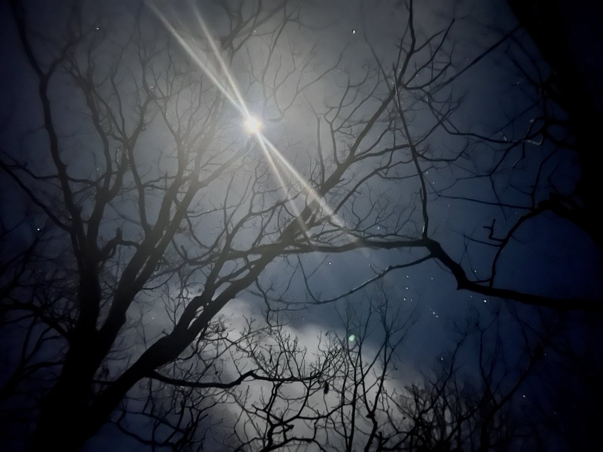 Highest Full Moon of the year. Almost 80° high at midnight here around DC. How many 1$ bills end to end to reach the moon?  How about that $1.7 Trillion in December spending bill?  Next Tweet 🤑