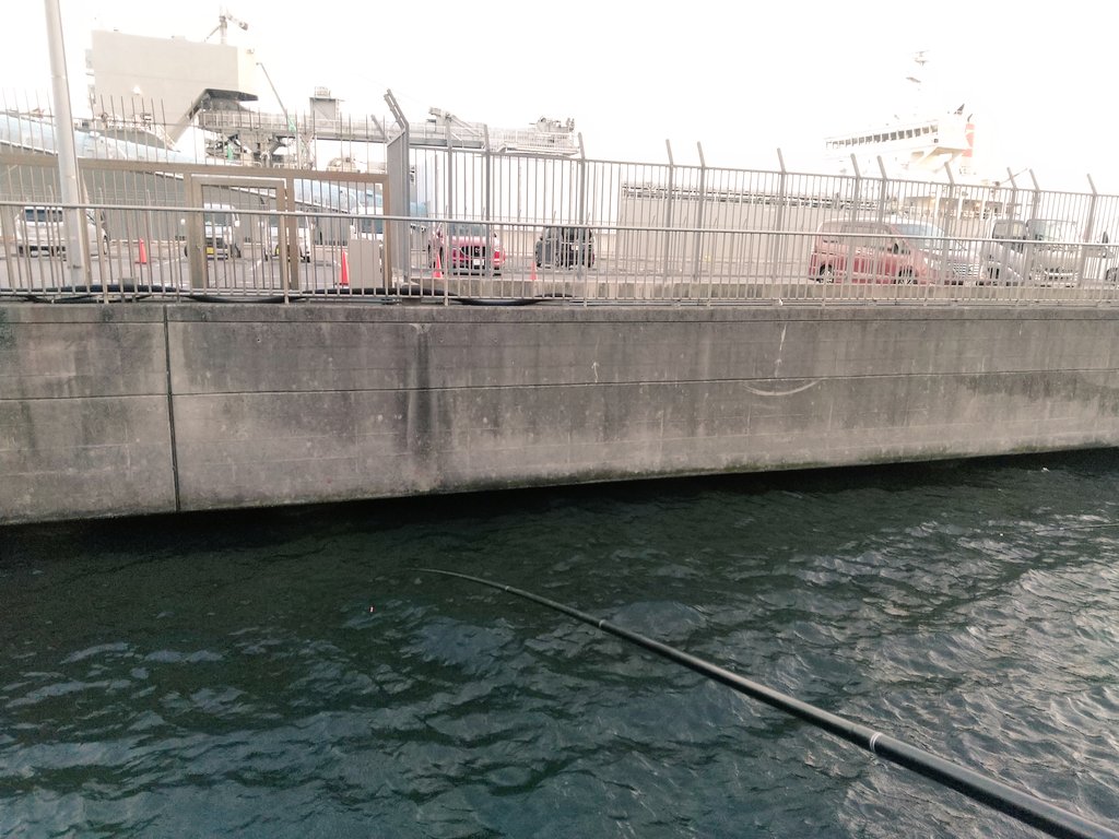 延釣会🎣
ﾘｰﾀﾞｰBin🙇
初釣りin 磯子🎣
延べ竿サビキ釣り🎣
ｳﾐﾀﾅｺﾞ🐟🐟🐟
終始ﾁﾋﾞﾒﾊﾞﾙに悩まされましたぁ😵🎣