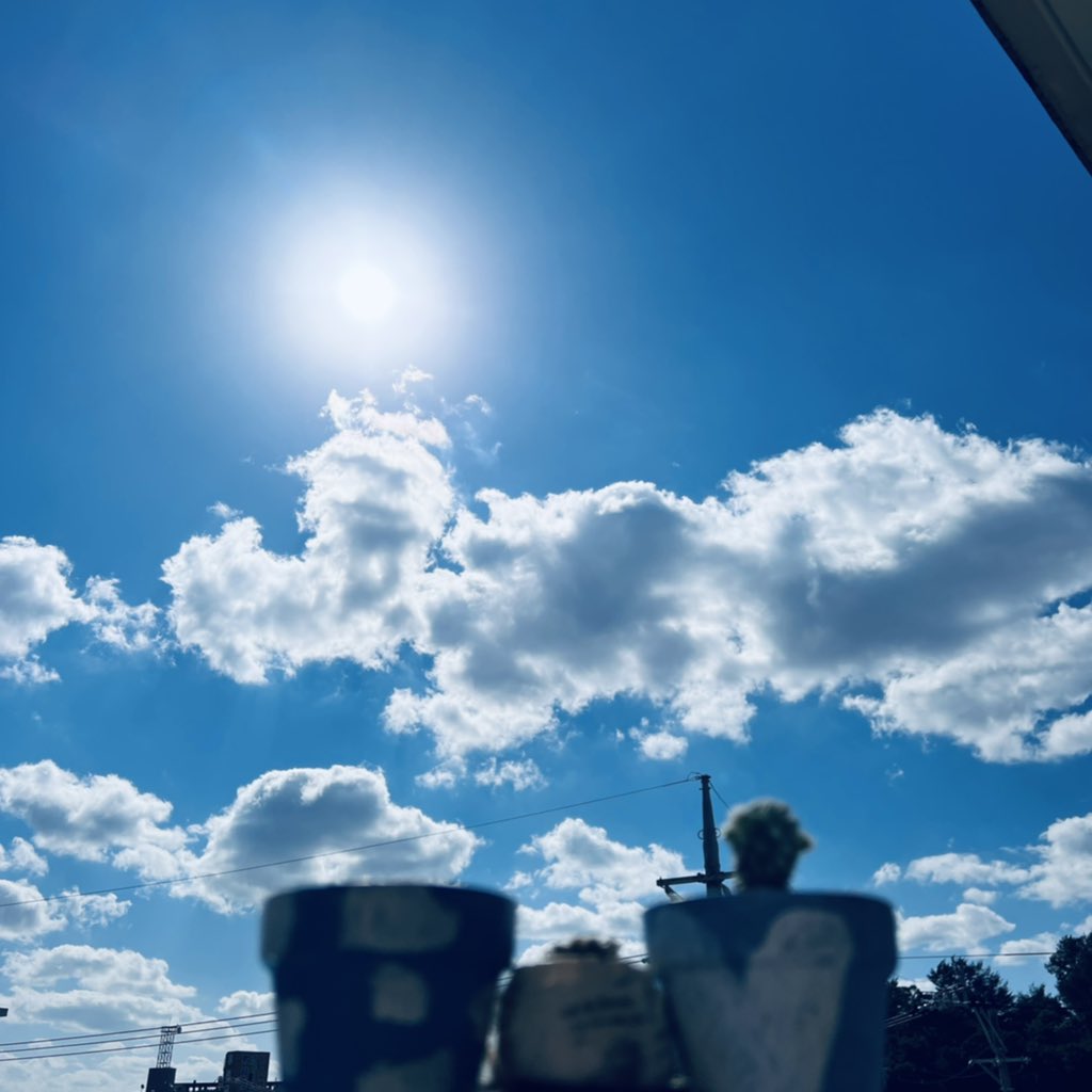 0326monro's tweet photo. 僕がこの世界の太陽だ🌏☀️ https://t.co/NNtgJN9Myu