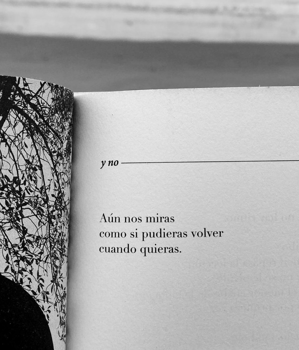 Cementedelibros's tweet photo. Y no…
Autor: @labenitoescribe 
#cementeriodelibros https://t.co/vtalLcAVYA
