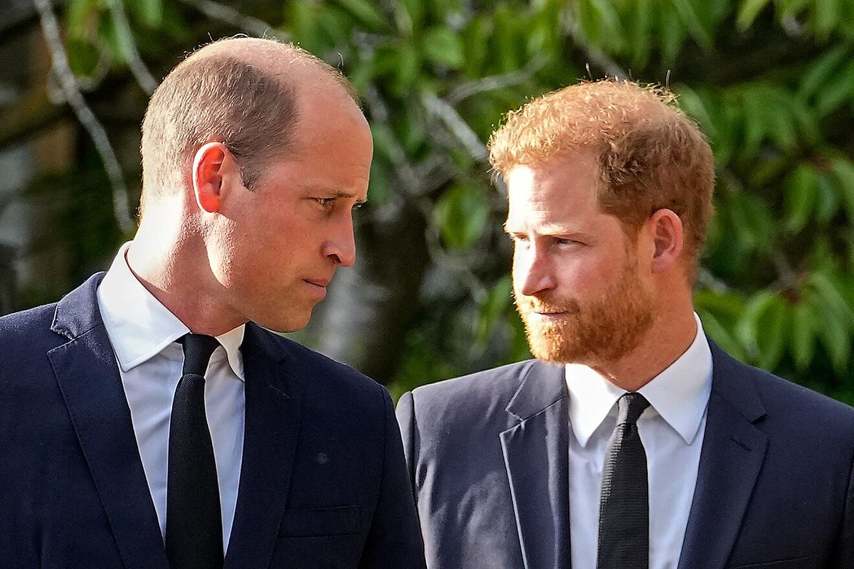 kellamckenzie's tweet photo. #NowCheck Prince Harry in his upcoming memoir says he was physically attacked and knocked to the ground by his brother Prince William during a 2019 confrontation. https://t.co/viHBhwQlZ0