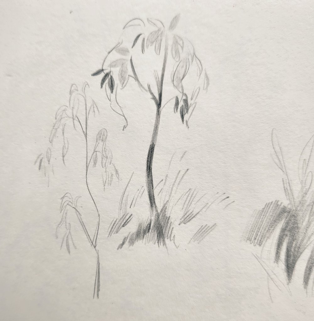 Sketch ✏️ 