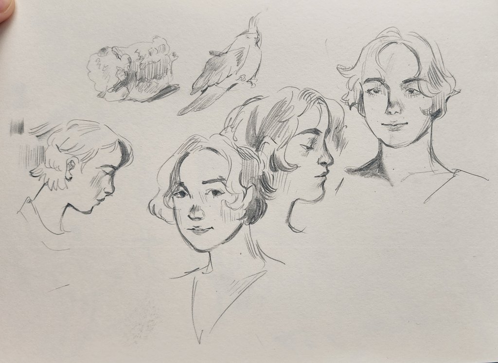 ✏️ 