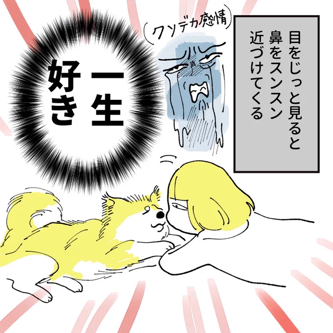 健やかであれ、犬よ… #秋田犬 