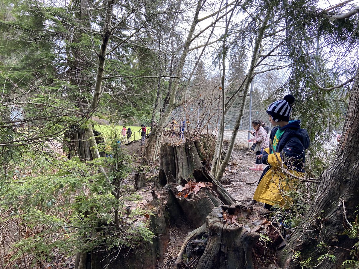 Megan Kang tweet media