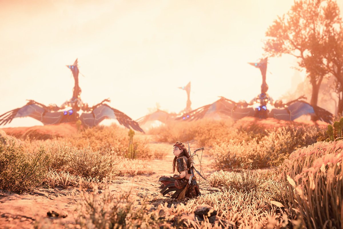 ayzingame's tweet photo. まねっこアーロイ🕊
#HorizonForbiddenWest
#skydrifter
#Aloy #vp #ps5 #photomode
#VirtualPhotography #VPCONTEXT https://t.co/gBljUp4WRv