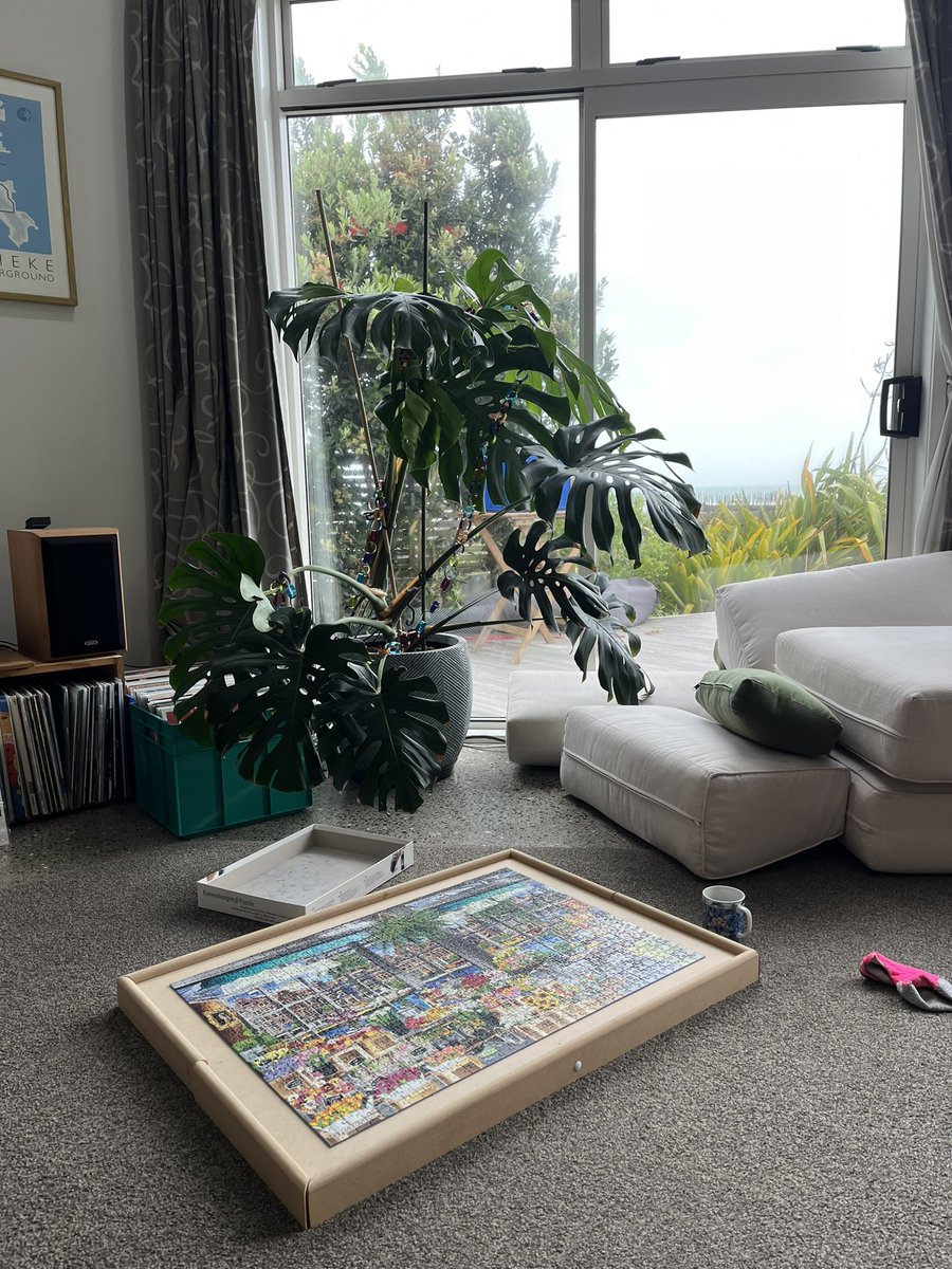 KnaptonClare's tweet photo. #NZSummer https://t.co/m0XX25Qna6