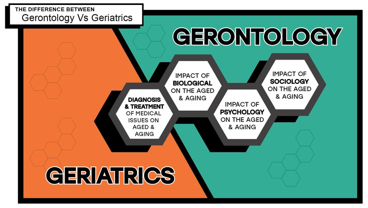 Sciinov group welcomes you to the “6th Edition of Global Congress on Aging and Gerontology (2023)” HYBRID EVENT during Jun 12-13, 2023 at #Budapest,#Hungary 
#Geriatrics #Gerontology #Aging  #Dementia  #Ageism #EndAgeism  #Sociology #proaging
Details: agingcongress.com