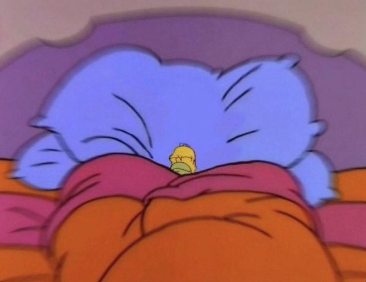 reactions on Twitter "tiny homer simpson in big bed comfy cozy"