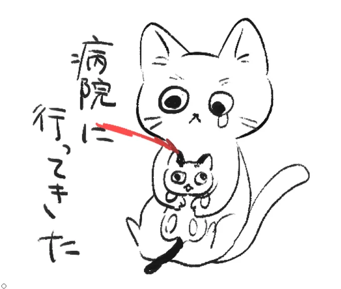 もう大丈夫っていわれました!!!!!! 