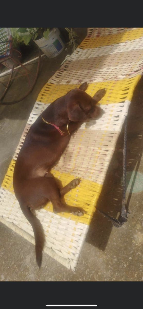 Fernando Perez tweet media