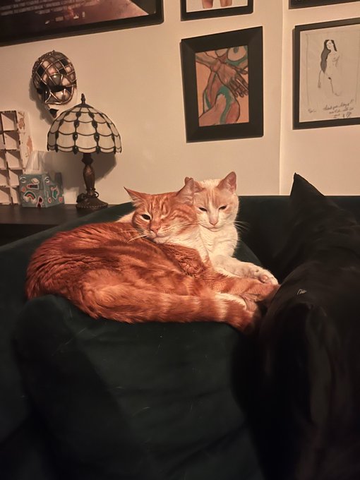 @HyapatiaLee Good morning. I think of you often, and am sending you love, warmth, and strength&mdash;which<a class="tags" target="_blank" title="On Twitter" href="/?out=eyJ0eXAiOiJKV1QiLCJhbGciOiJIUzUxMiJ9.eyJpYXQiOjE3MjA3MTE1NzYsImlzcyI6InR3cG9ybnN0YXJzLmNvbSIsIm5iZiI6MTcyMDcxMTU3NiwiZXhwIjoxNzUyMjQ3NTc2LCJyZWRpcmVjdF91cmwiOiJodHRwczovL3R3aXR0ZXIuY29tL0h5YXBhdGlhTGVlIn0.jagLWv-Noyowsg8NBimwl7eA1SsaDaqE3GGh5AU4SyxfFQAWa2lmuRm4aGM6oAFBjo3G_t_ax_gz5ZTGQzL-Aw">@HyapatiaLee</a>