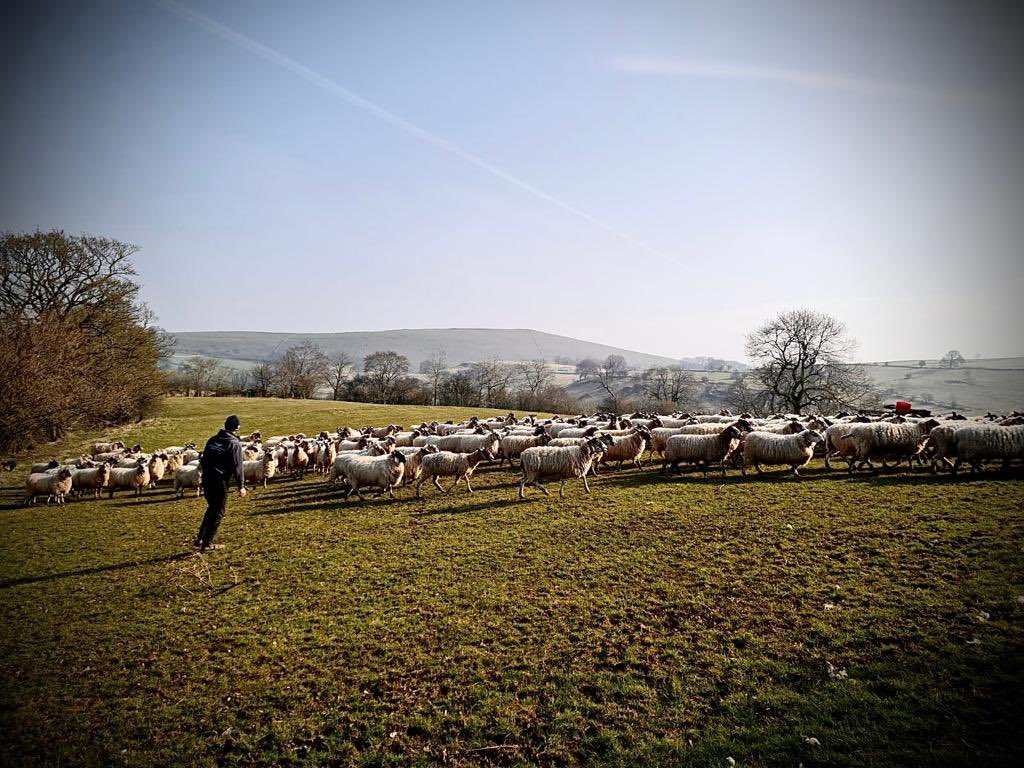 FECPAK_UK's tweet photo. ANNOUNCEMENT!  As of this year; we will be starting our annual UK Young Farmers Grant.
 
Farmers aged between 18&amp;35, keep an eye out on our Facebook! Applications open on the 9th of January 2023

#youngfarmers #britishagriculture #livestock #whatthefec #parasites https://t.co/glh2mkSlmw
