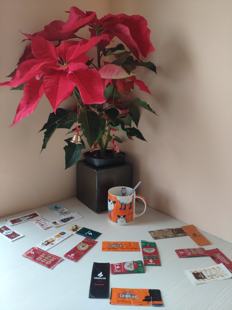 sjuez's tweet photo. Otra #NavidadCandelas con azucarillos originales gracias a @Cafescandelas https://t.co/r79euPq3P8