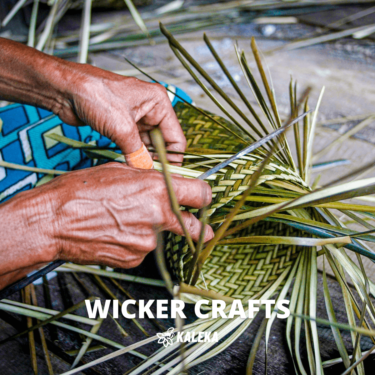 kalekaindonesia's tweet photo. Gawi Bapakat is here to bring all the focus on Seruyan’s top #commodities. Take a look! 🌱

#Kaleka #TransitiontoExcellence #RealizingSustainability #Agriculture #PalmOil #Craft #Ginger #KalimantanTengah https://t.co/wMQrnzBcmM
