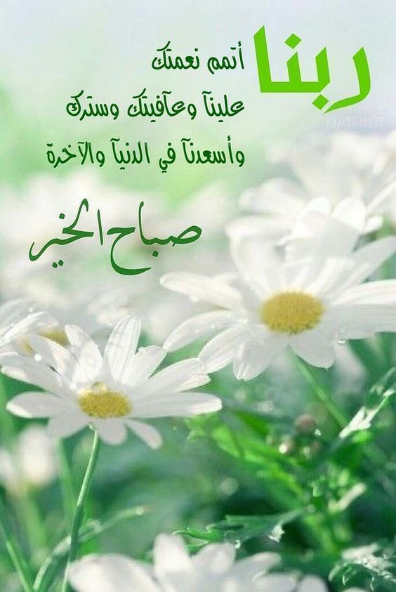 سليمان الشريف (@slymanshryf1234) on Twitter photo 