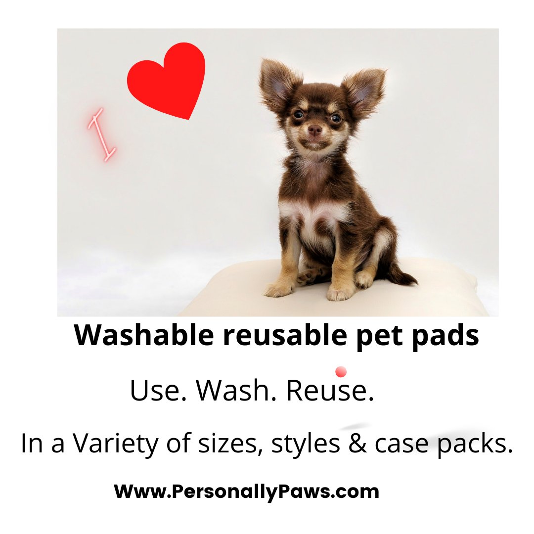 personallypaws's tweet photo. @PuppyLoversPic @SeniorPetsRock 
https://t.co/Ogf1yYAlFk https://t.co/tLRCQe9mF7