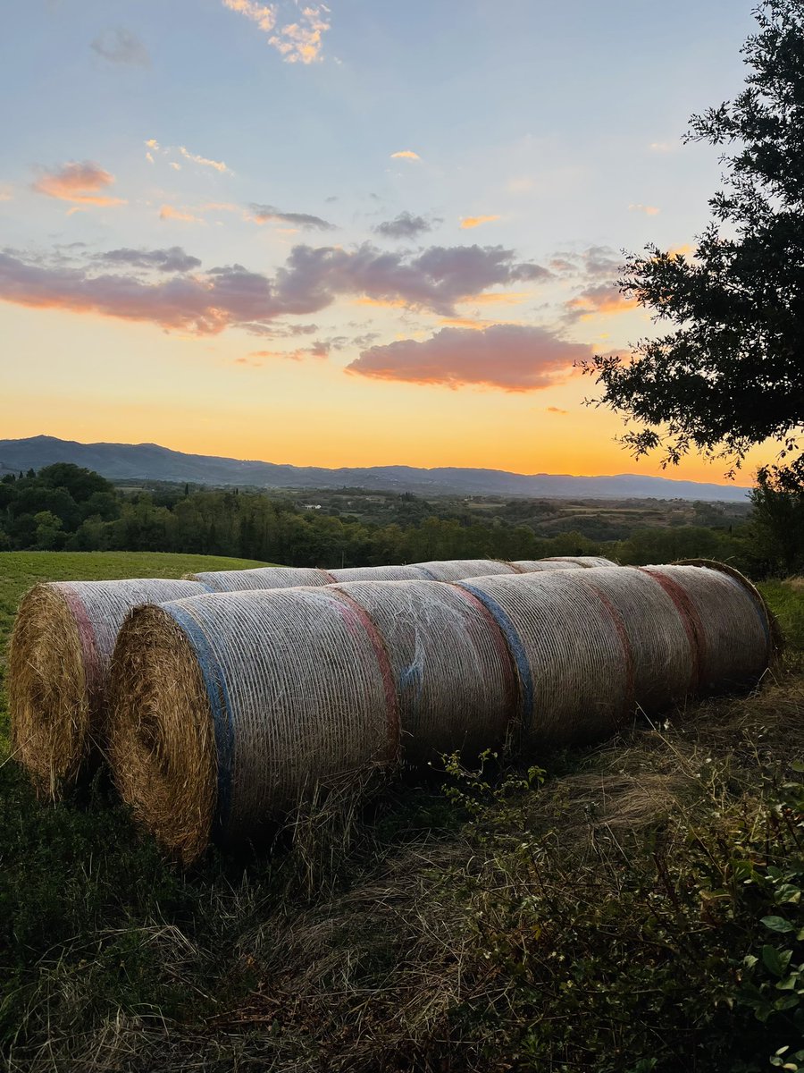 JoseHermens's tweet photo. @Heerlijkheyd @robhoeij Wel nog hooirollen #Bucine #Toscana https://t.co/n0QsgAyrSW