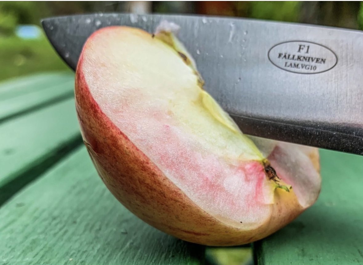 Recept för ett bättre samtalsklimat och generositetsprincipen. 🍎

👉 linkedin.com/pulse/om-du-ha…