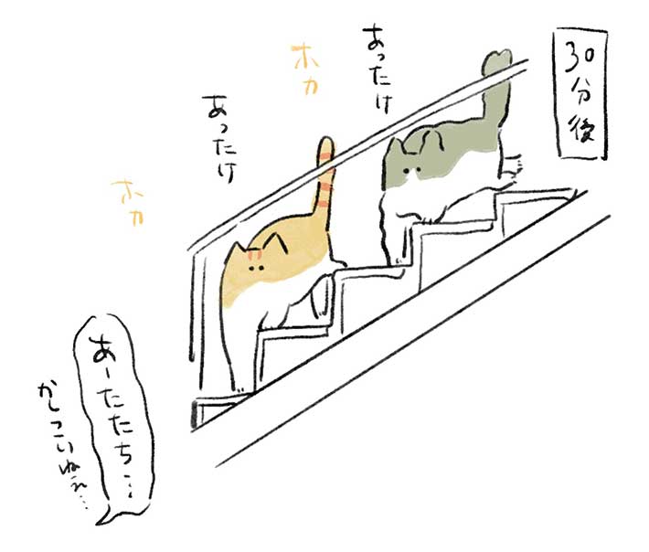 飼い主が起床後、30分はリビングに来ない猫 その理由に「賢いわ～」 https://t.co/uL83VVf9Zy @grapeejpより 
