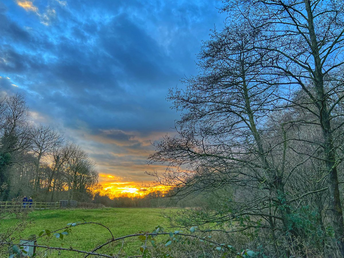Cattan2011's tweet photo. Mills Green and Hawks Green Valley #NaturePhotography #NATURERESERVE #NatureBeauty #landscapephotography #STAFFORDSHIRE #WESTMIDLANDS https://t.co/efuPOdDkcY