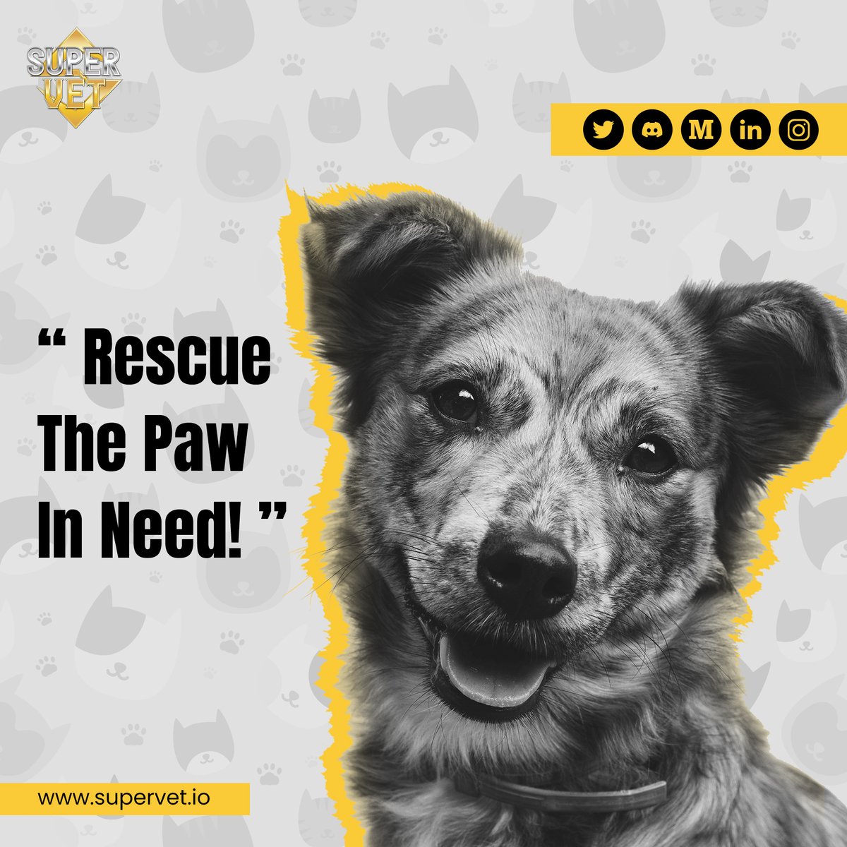 SuperVet_io's tweet photo. Approx. 2.7MM animals 🦌enter #UK #animalshelters each year!
These innocent souls also deserve right to live a refreshing life, free from any kind of exploitation🐾
Let's #Saveinnocentsouls with our great #SUPERVETS🦸♂️
👉 https://t.co/MUgwYUJiOh
#animalrescue #Metaverseproject https://t.co/sbsqFDK84h